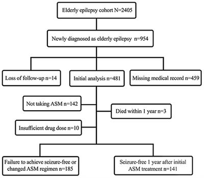 The Clinical Characteristics of New-Onset Epilepsy in the Elderly and Risk Factors for Treatment Outcomes of Antiseizure Medications